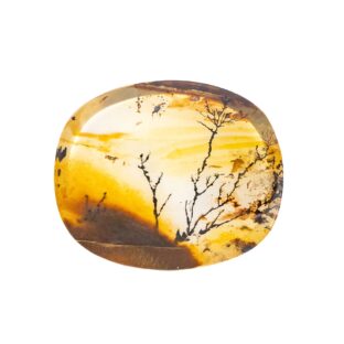 【景色を宿したクォーツ】デンドリティッククォーツ 30.95ct