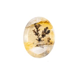 【景色を宿したクォーツ】デンドリティッククォーツ 2.95ct