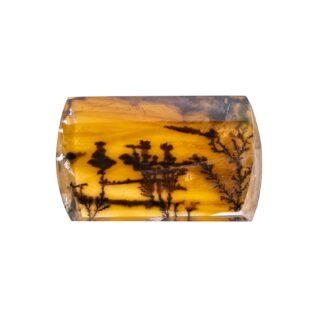 【景色を宿したクォーツ】デンドリティッククォーツ 6.85ct