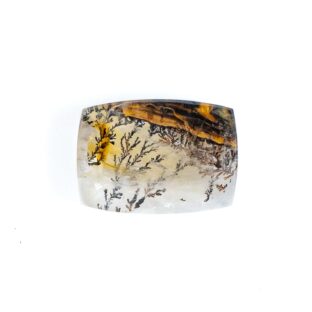 【景色を宿したクォーツ】デンドリティッククォーツ 6.65ct