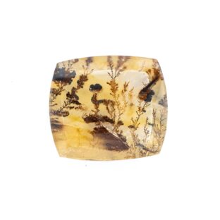 【景色を宿したクォーツ】デンドリティッククォーツ 6.6ct
