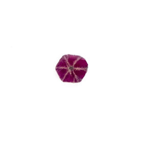 【ミャンマー・モゴック産】 トラピッチェルビー0.26ct