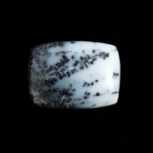 【雪景色をもつコモンオパール】デンドリティックオパール 6.0ct