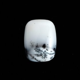 【雪景色をもつコモンオパール】デンドリティックオパール 7.8ct