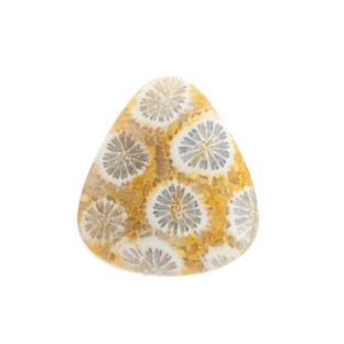 【太古の息吹を感じる石】フォッシルコーラル  6.0ct