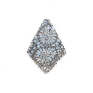 夏の素肌に映えるモノトーン|クールグレイ・フォッシルコーラル 5.0ct（菊目石/天然石ルース）