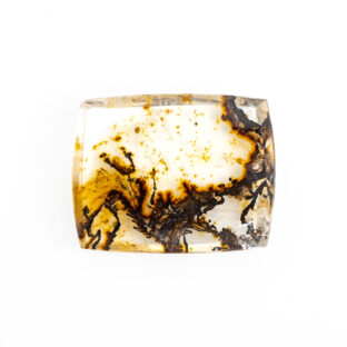 水晶に浮かぶ木立の影 | デンドリティッククォーツ 19.2ct ブラジル産大粒ルース
