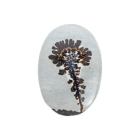 無彩色に宿る、鉱物のしずくが描く風景画 ｜ デンドリティックジャスパー 21.55ct